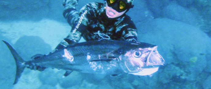 La chasse sous-marine! - Guide Spearfishing