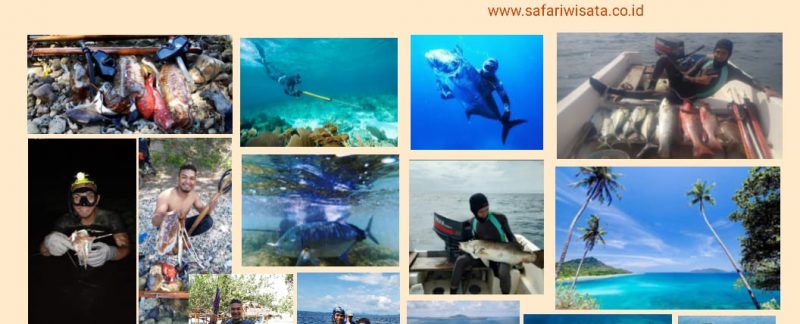 Chasse sous-marine
